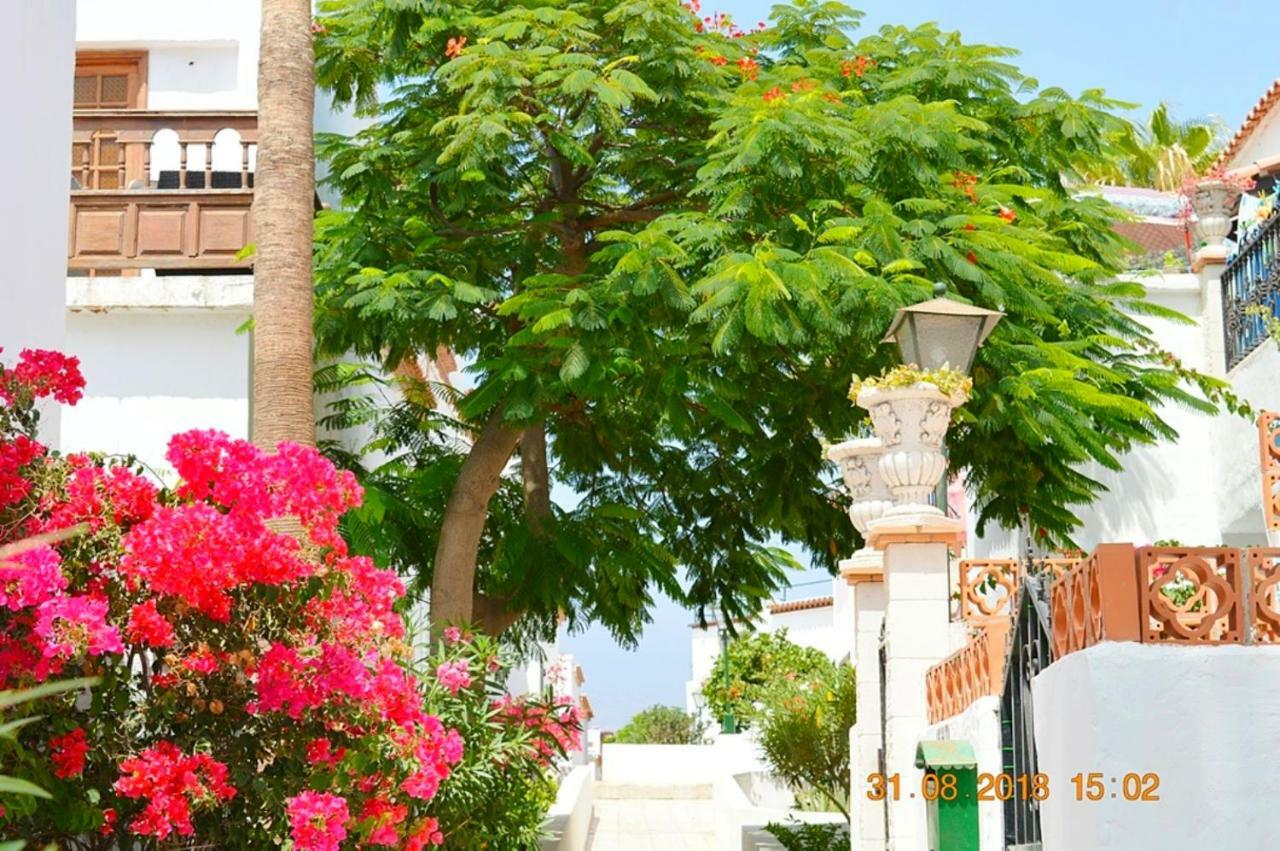 New Renovated Duplex Near The Ocean Located In Tenerife Sur Costa del Silencio Eksteriør billede