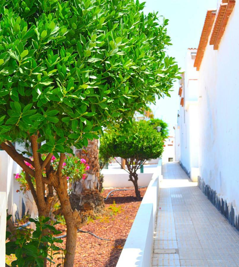 New Renovated Duplex Near The Ocean Located In Tenerife Sur Costa del Silencio Eksteriør billede